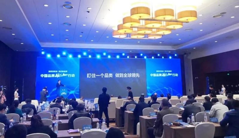 定了！美麗島進(jìn)了國(guó)家隊(duì)，新華社專訪